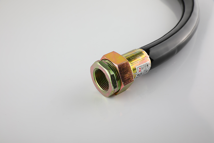 防爆挠性管 BNG-20*700