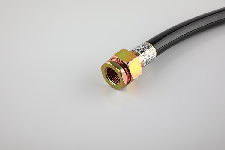 防爆挠性管 BNG-15*700