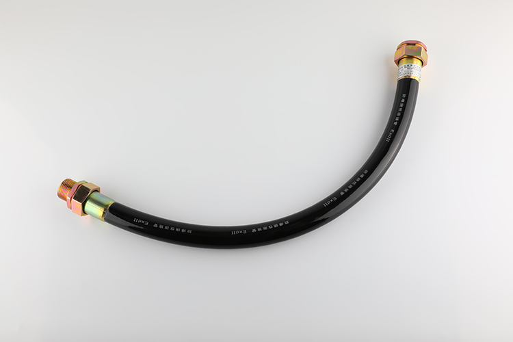 防爆挠性管 BNG-25*700