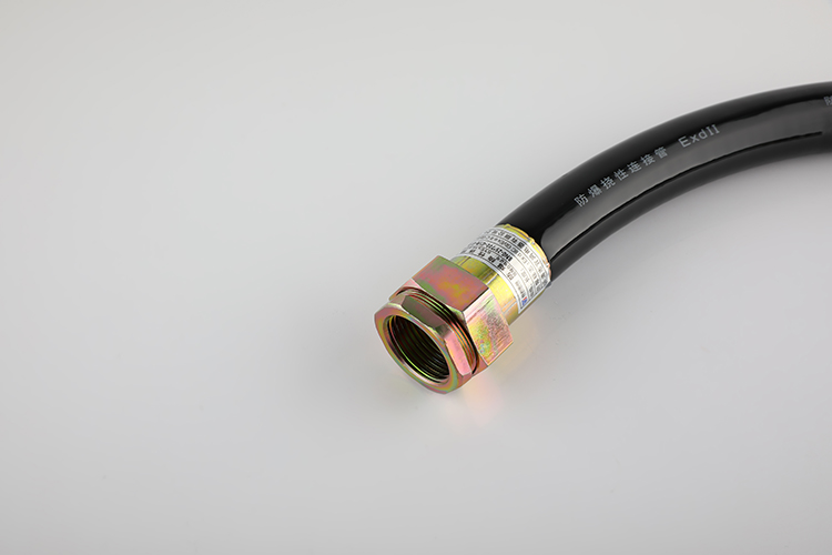 防爆挠性管 BNG-25*700