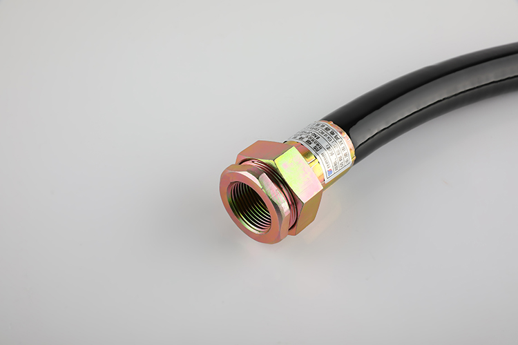 防爆挠性管 BNG-20*1000