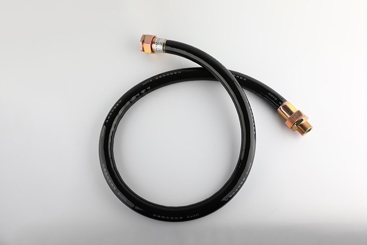 防爆挠性管 BNG-25*1500