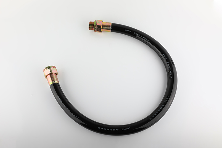 防爆挠性管 BNG-25*1000