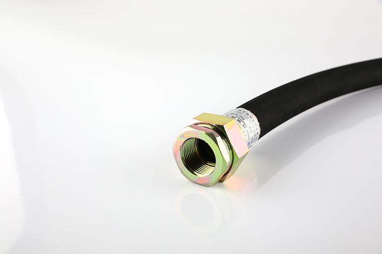 防爆挠性管 BNG-20*700