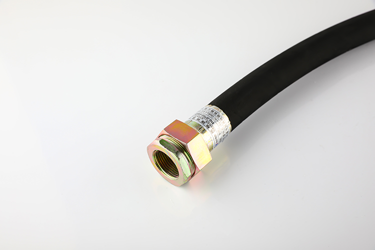 防爆挠性管 BNG-20*700