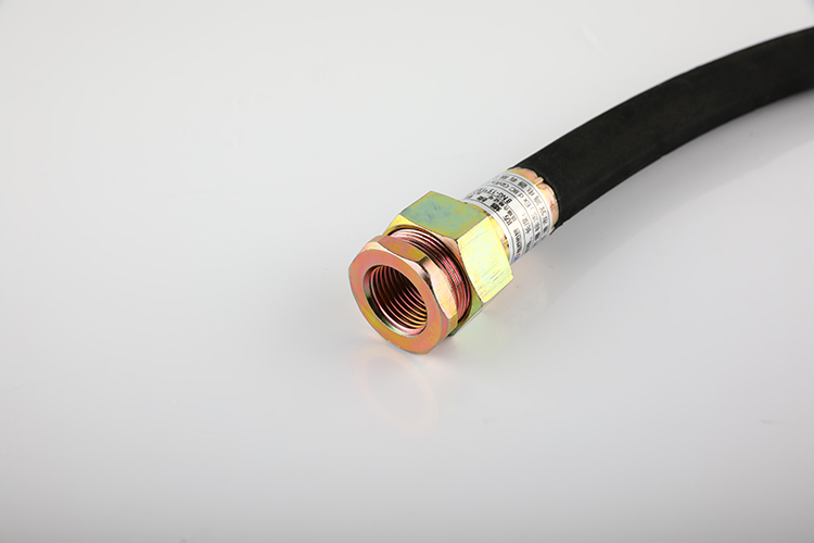 防爆挠性管 BNG-15*1500