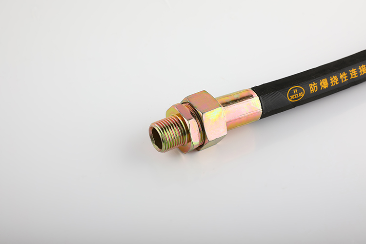 防爆挠性管 BNG-15*500