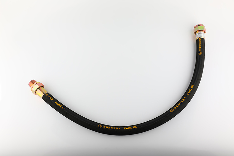 防爆挠性管  BNG-25*1000