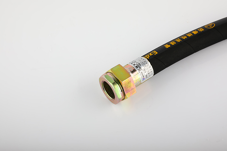 防爆挠性管 BNG-20*1000