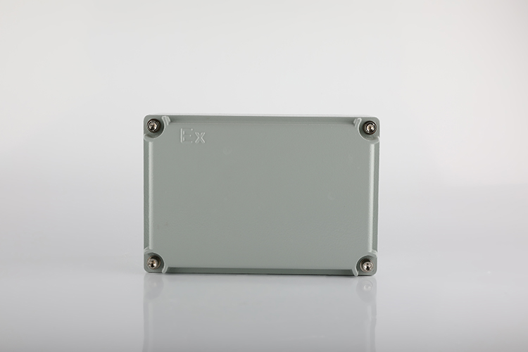 防爆箱增安型 135*200