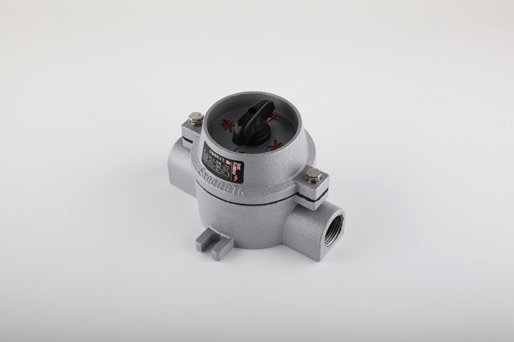 防爆照明开关 SW-10/380V