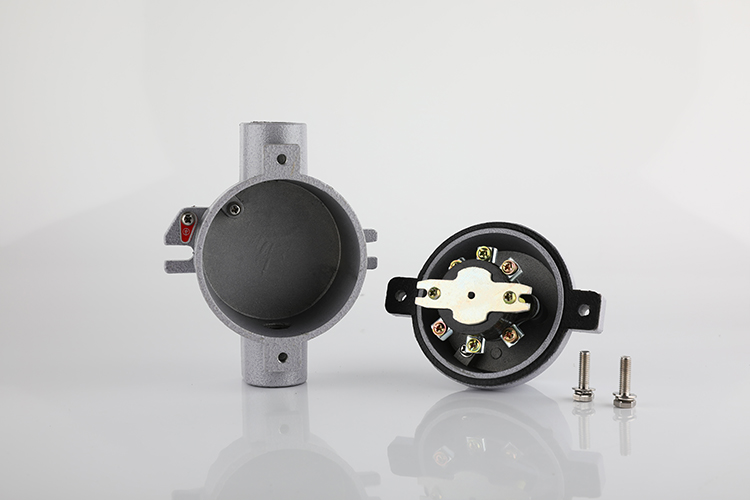 防爆照明开关 SW-10/380V