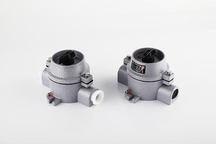 防爆照明开关 SW-10/220V